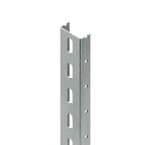 Ingyenes szállítás Profilsín 3m U-profil 22mmx 50mm szalaghorganyzott acél 2mm-va/anyag U 50/3000 Niedax