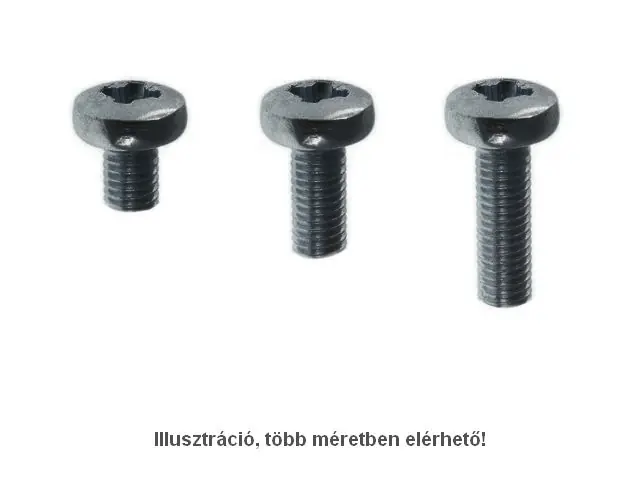 Acél csavar M3 x 6mm 0,5mm menet emelkedés, hengeres PH1 fekete Csak ma