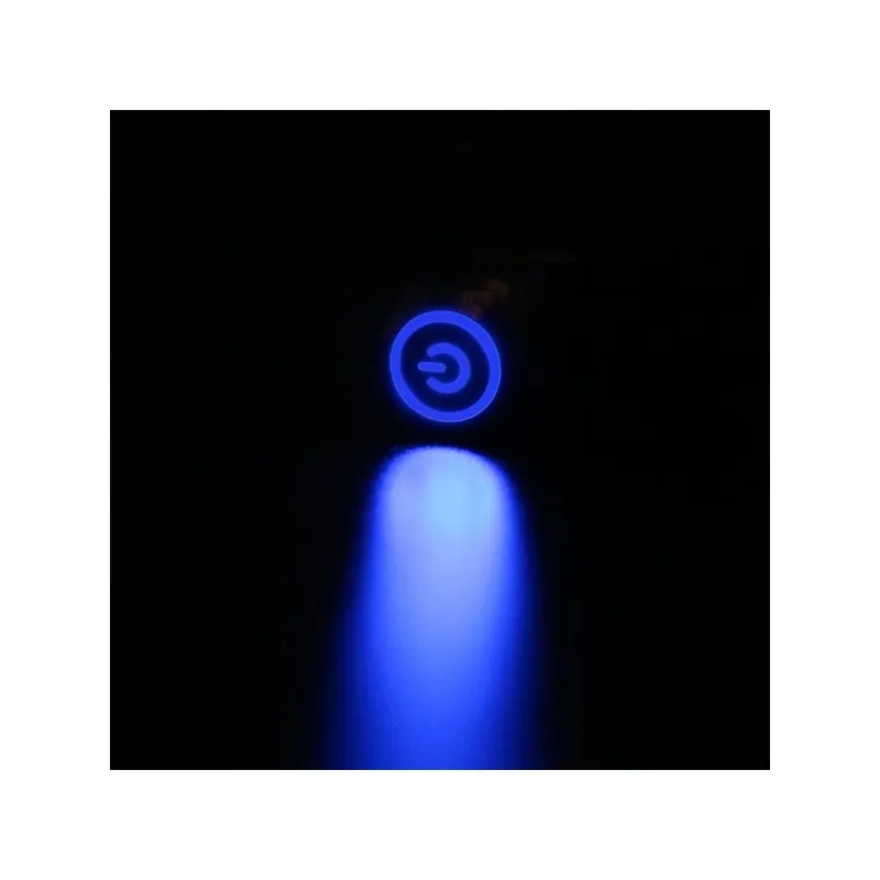 Árcsökkenés Azonnali Ön-Újraindító-22mm-100-240V(220V)-Kék-Vízálló LED Azonnali Reteszelt Autó motor hálózati kapcsoló